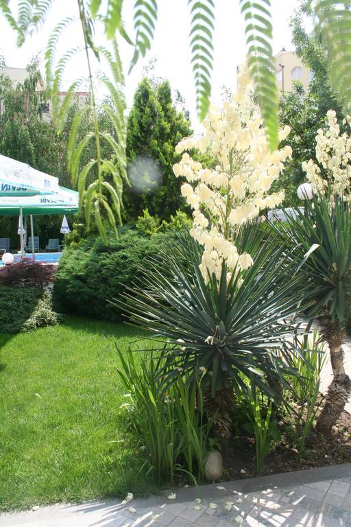 סאני ביץ' Family Hotel Aurelia מראה חיצוני תמונה